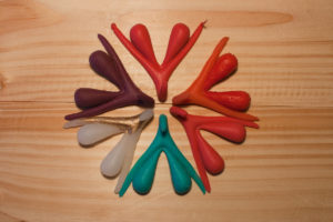 six clitoris en couleur