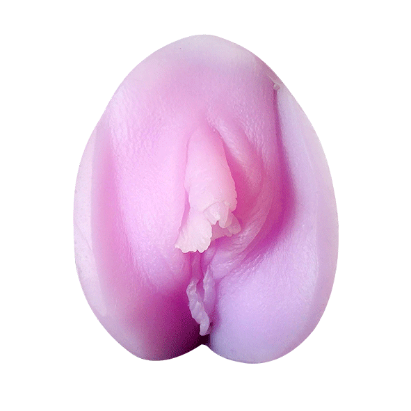 Vulva with testosterone intake - Non binary/ Ft* human - Model 1- Silicone