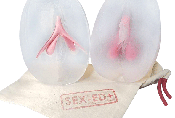 Vulve avec clitoris amovible - Modèle 2 - Silicone/ plastique