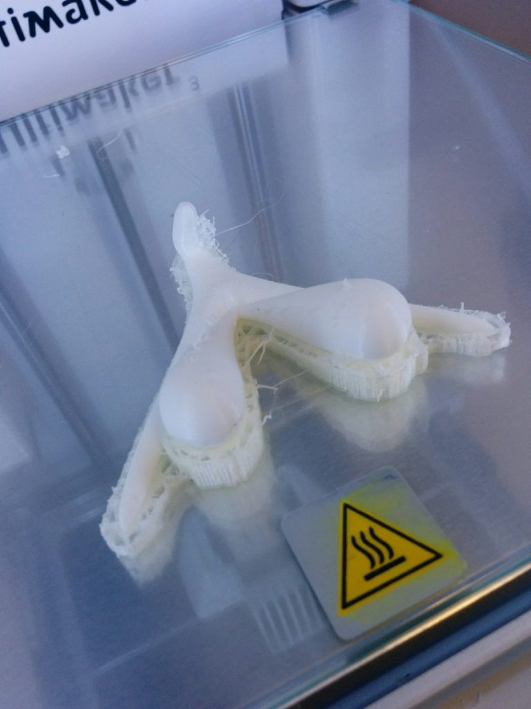 Clitoris imprimé 3D
