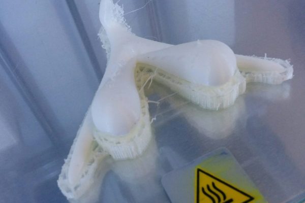 Clitoris imprimé 3D