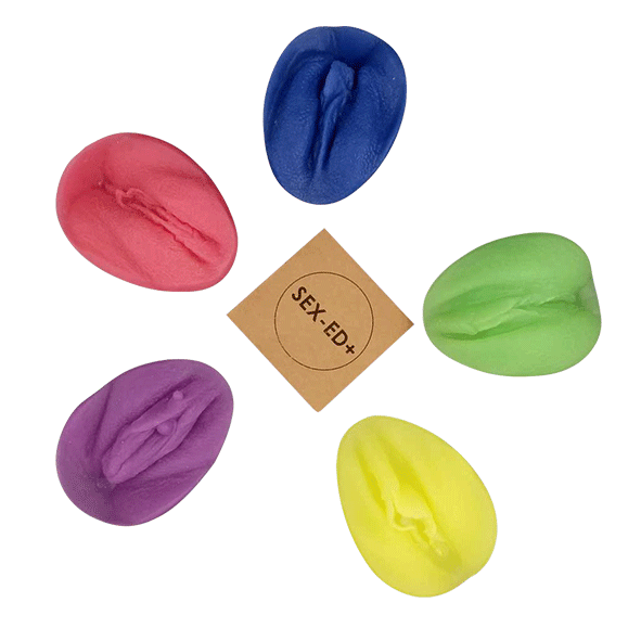Five vulvae kit - Models 1,2,3,4 et 5- Silicone