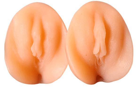 Photo vulve avant et après la prise de testostérone - Modèle 1, silicone /Photo vulva, before and after testosterone, Model 1, silicone