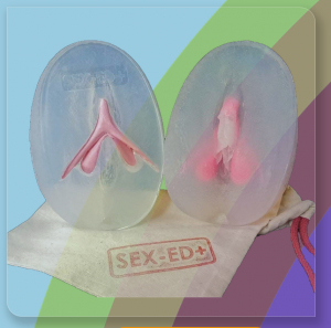 Photo vulve avec clitoris amovible - Modèle 2, silicone/ 3D vulva, with an insertable clitoris, silicone