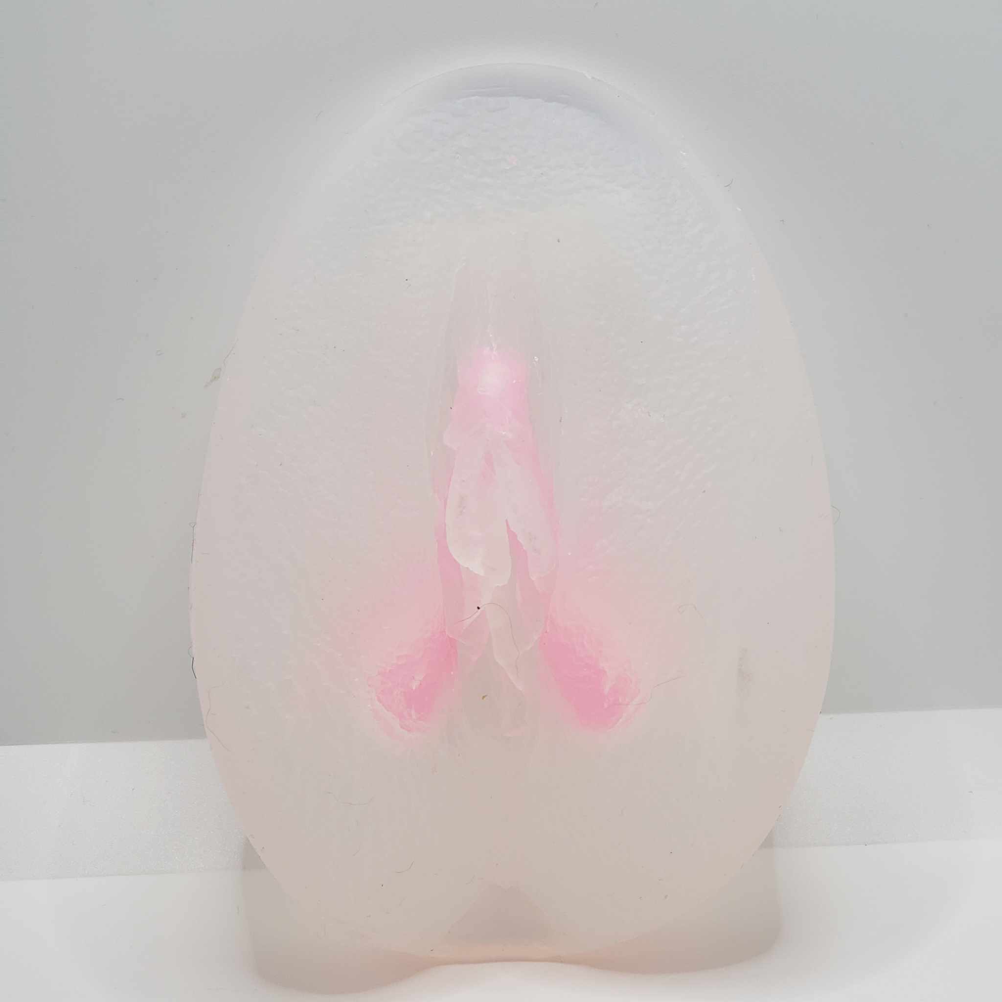 Ventre atelier clitoris intégré