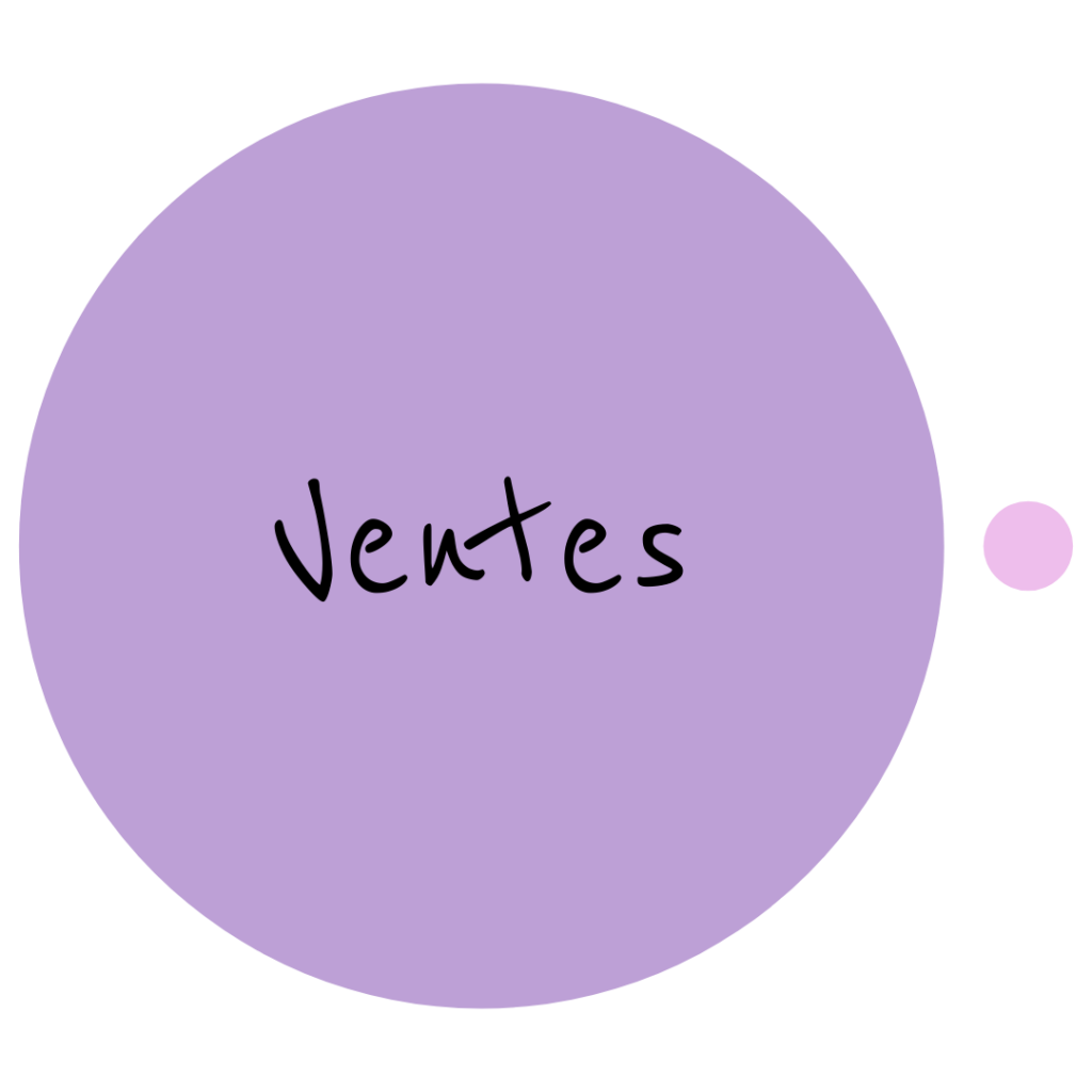 REVENUS 2023-2024 (Ventes et intérêts)